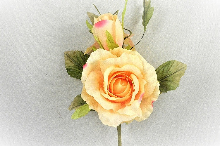 33015 - Blossoming Soft Peach roses in a lovely floral arrangement accompanied with lush green leaves.  Height  21cms,  Width  15cms  (approx)
