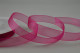 34 Fuschia